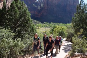 A group of hikers walks along a path surrounded by green vegetation and towering rock formations.